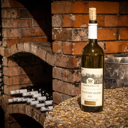 Vinný Sklep Zdeněk Zábojník Chvalovice (South Moravian)